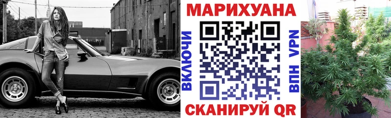Конопля OG Kush  Чернушка 